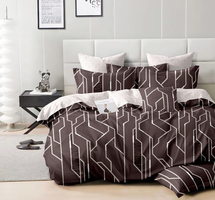 Постельное белье из сатина АЛЬВИТЕК CA-1-699 70х70 (2шт) 1,5-спальное