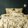 Постельное белье из египетского хлопка ASABELLA 1828-6 50х70 (2шт) и 70х70 (2шт) евро