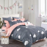 Постельное белье двухстороннее из твила TANGO TPIG-534 50х70 (2шт), 70х70 (2шт) евро