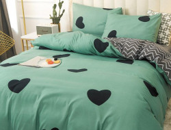 Постельное белье из микросатина TANGO DREAM FLY DF-218-70 70х70 (2шт) 2-спальное