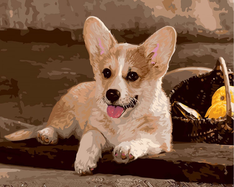 Набор для раскрашивания по номерам ФРЕЯ PNB/R1 №71 Вельш-Корги 50х40 см