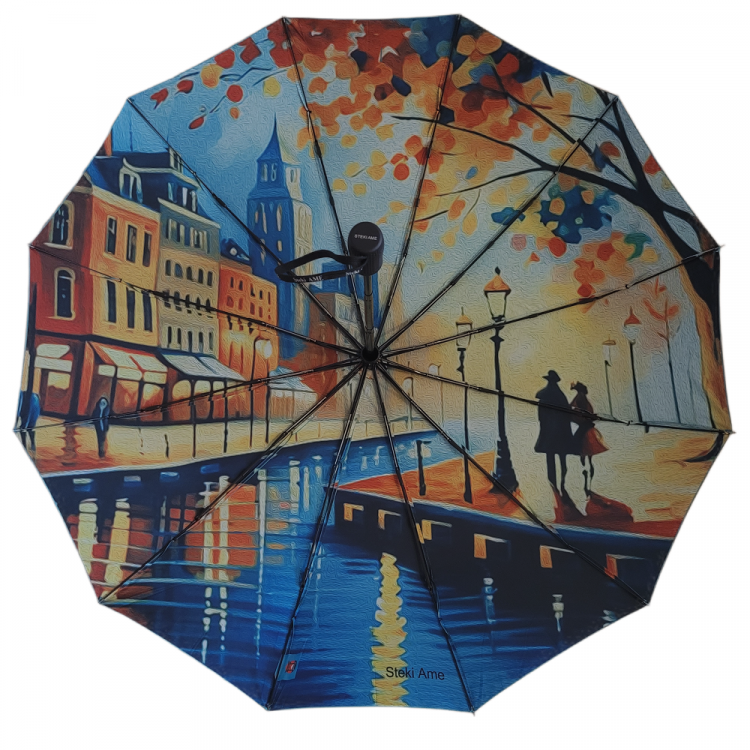 Зонт STEKI AME полный автомат усиленный ART зеленый