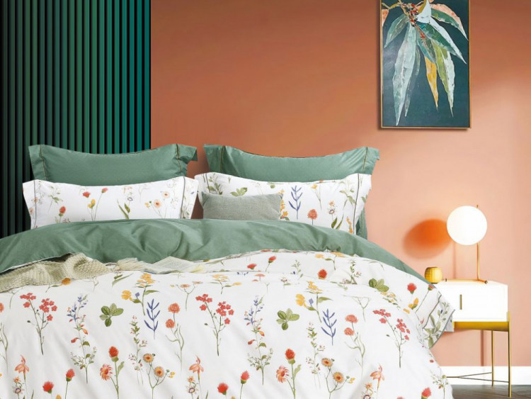 Постельное белье из сатина ASABELLA 1929-6 50х70 (2шт) и 70х70 (2шт) евро