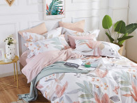Постельное белье из сатина ASABELLA 1989-7 50х70 (2шт) и 70х70 (2шт) семейное