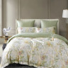 Постельное белье фланелевое из тенсела ASABELLA Весенняя нега 50х70 (2шт), 70х70 (2шт) евро