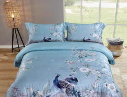 Постельное белье из египетского хлопка TANGO TIS-800 50х70 (1шт), 70х70 (1шт) 1,5-спальное