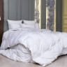Одеяло кассетное GERMAN GRASS WHITE FAMILIE DOWN 155x200 теплое