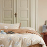 Постельное белье из сатина ASABELLA 1930-6 50х70 (2шт) и 70х70 (2шт) евро