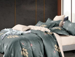 Постельное белье из микросатина TANGO DREAM FLY DF-406-70 70х70 (2шт) семейное