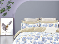 Постельное белье из сатина ASABELLA 2165-6 50х70 (2шт) и 70х70 (2шт) евро