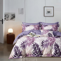 Постельное белье из сатина АЛЬВИТЕК CA-1-723 70х70 (2шт) 1,5-спальное