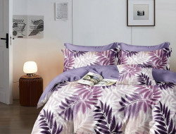 Постельное белье из сатина АЛЬВИТЕК CA-1-723 70х70 (2шт) 1,5-спальное