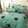 Постельное белье из микросатина TANGO DREAM FLY DF-218-50 50х70 (2шт) 2-спальное