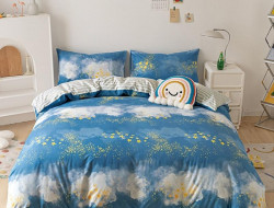 Постельное белье из сатина TANGO NOVELLA TS-X186 50х70 (2шт), 70х70 (2шт) евро