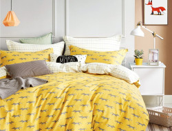 Постельное белье из сатина TANGO TS04-X262 50х70 (2шт), 70х70 (2шт) евро