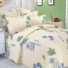 Постельное белье из поплина САЙЛИД A-1 семейное