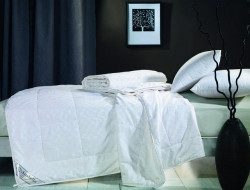 Одеяло из натурального шелка ASABELLA CS-1 145х205 легкое