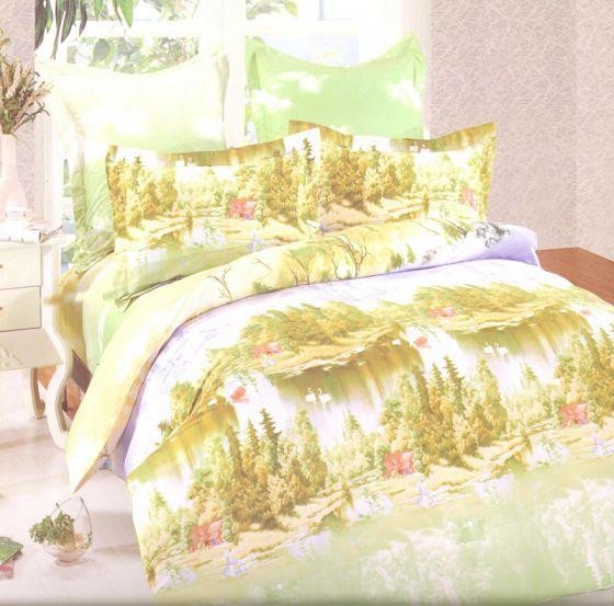 Постельное белье из сатина печатного САЙЛИД B-135 евро