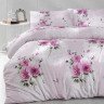 Постельное белье ALTINBASAK RANFORCE ELA сиреневое 50х70 евро