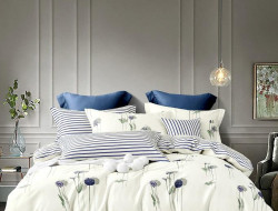 Постельное белье двухстороннее из твила TANGO TPIG-1037 50х70 (2шт) семейное