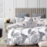 Постельное белье из твила в ПВХ TANGO TPIG-1720 50х70 (2шт) евро
