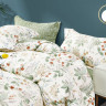 Постельное белье из сатина ASABELLA 1998-7 50х70 (2шт) и 70х70 (2шт) семейное