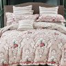 Постельное белье из сатина ASABELLA 1079-6 50х70 (2шт) и 70х70 (2шт) евро