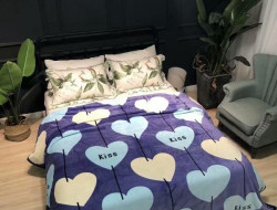 Плед из микрофибры CRISTELLE FLAMENCO CFR2022-06 200х220