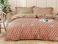 Постельное белье из сатина АЛЬВИТЕК CA-6-074 50х70 (2шт), 70х70 (2шт) евро