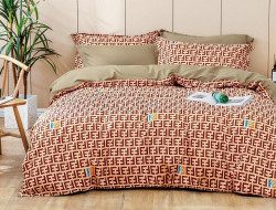 Постельное белье из сатина АЛЬВИТЕК CA-6-074 50х70 (2шт), 70х70 (2шт) евро