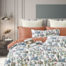 Постельное белье из египетского хлопка ASABELLA 2005-4S 50х70 (1шт) и 70х70 (1шт) 1,5-спальное