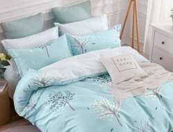 Постельное белье из твила TANGO тримпаль 50х70 (2шт) 2-спальное