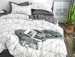 Постельное белье из микросатина TANGO DREAM FLY DF-179 50х70 (1шт), 70х70 (1шт) 1,5-спальное