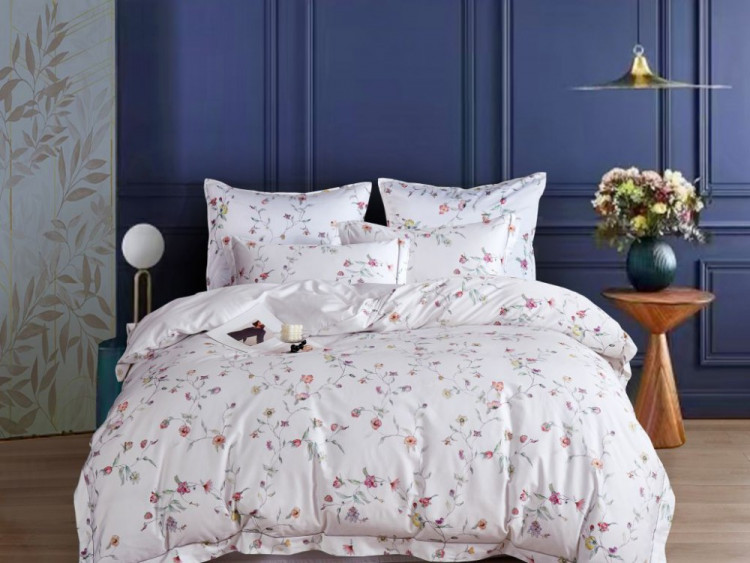 Постельное белье из египетского хлопка Premium ASABELLA Нежные мечты 50х70 (2шт) и 70х70 (2шт) евро