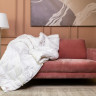 Одеяло кассетное GERMAN GRASS ROYAL DOWN GRASS 200х200 всесезонное Light