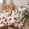 Постельное белье из твила в ПВХ TANGO алое великолепие 50х70 (2шт) евро