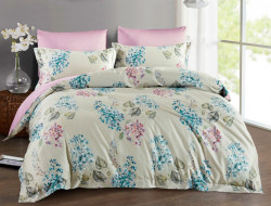 Постельное белье из египетского хлопка Premium ASABELLA 1381-6 50х70 (2шт) и 70х70 (2шт) евро