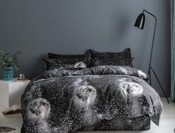 Постельное белье из микросатина TANGO DREAM FLY DF-394-50 50х70 (2шт) семейное