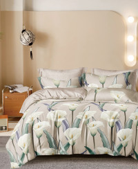 Постельное белье из твил-сатина в ПВХ TANGO лилиано 50х70 (2шт) евро