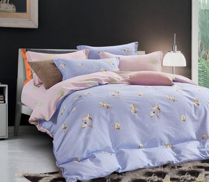 Постельное белье из сатина АЛЬВИТЕК CA-178 50х70 (2шт) и 70х70 (2шт) евро