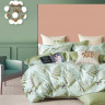 Постельное белье из твила TANGO TPIG-1708 50х70 (1шт), 70х70 (1шт) 1,5-спальное
