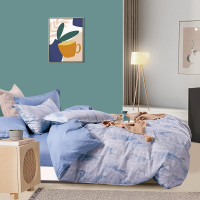 Постельное белье из твила TANGO TPIG6-1827 50х70 (2шт), 70х70 (2шт) евро