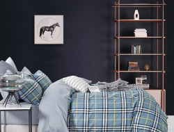 Постельное белье из сатина TANGO TS04-X239 50х70 (2шт), 70х70 (2шт) евро