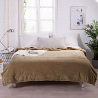 Плед однотонный из микрофибры TANGO SPIGA SP-21 светло-коричневый 200х220