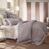 Постельное белье из египетского хлопка с вышивкой ASABELLA 611-4 50х70 (2шт) евро