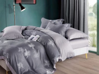 Постельное белье из тенсела люкс ASABELLA 2091-6 50х70 (2шт) и 70х70 (2шт) евро