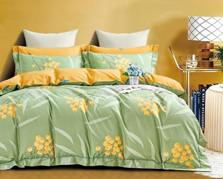 Постельное белье двухстороннее из твил-сатина SAILID BP-120-3 евро