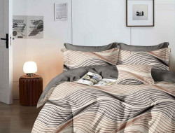 Постельное белье из сатина АЛЬВИТЕК CA-7-724 50х70 (2шт), 70х70 (2шт) семейное