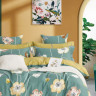 Постельное белье из сатина ASABELLA 1846-6 50х70 (2шт) и 70х70 (2шт) евро