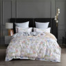 Постельное белье из египетского хлопка Premium ASABELLA Акварель 50х70 (2шт) и 70х70 (2шт) семейное